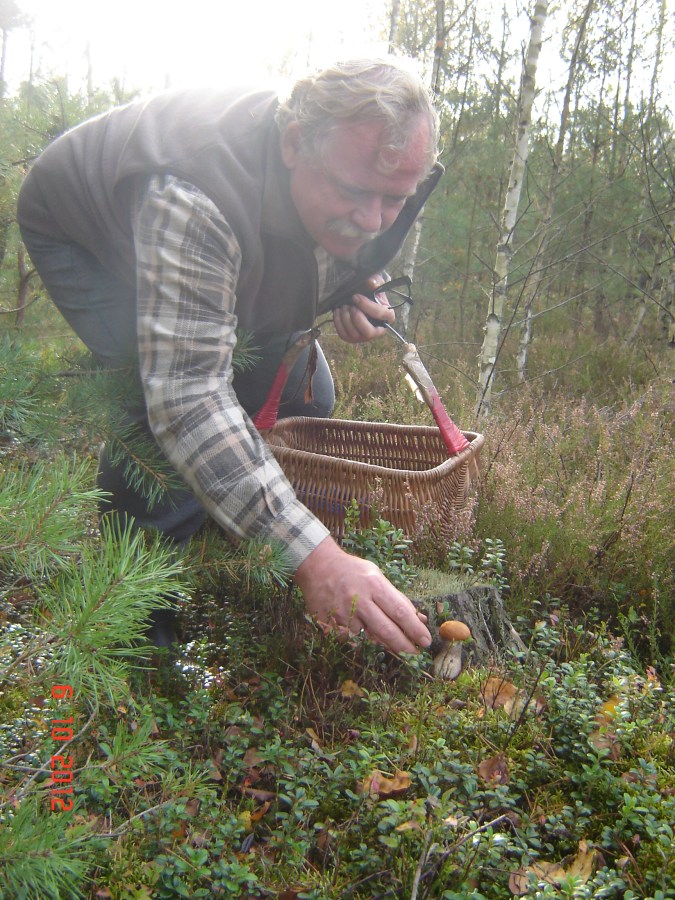 Grzybobranie 2012